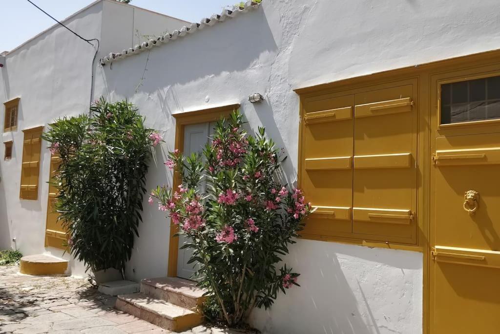 Braxos A Beautiful Rocky Place Holiday home